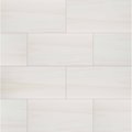 Msi Eden Dolomite 12 In X 24 In. Polished Porcelain Floor And Wall Tile, 8PK ZOR-PT-0303